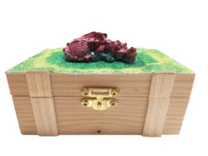 Houten schatkistje met draak en edelstenen