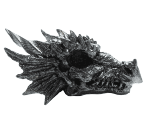 Orgoniet draak Human Design model Fuega