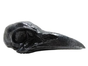 Orgoniet ravenschedel Tijgeroog