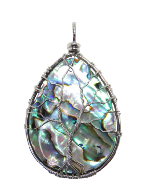 Abalone hanger